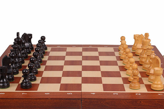 Torneo di scacchi tedesco di Staunton n. 5